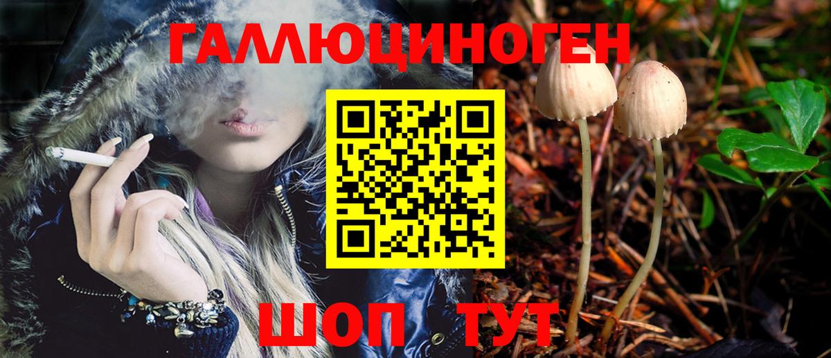 Шатура  Псилоцибиновые грибы мицелий  Вход с VPN 