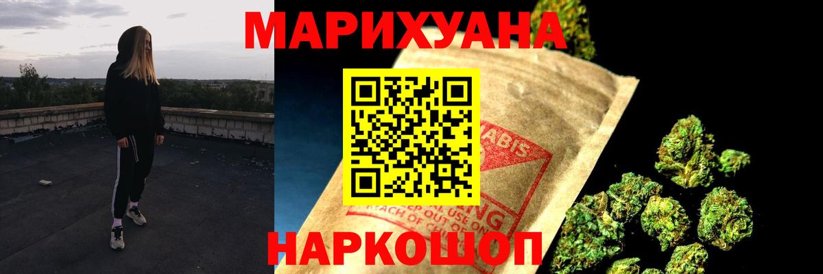 Каннабис сатива Шатура